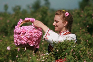 Desde Sofía: El Valle de las Rosas y Koprivshtitsa 12 horas Excursión de un día