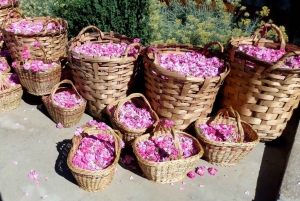 Desde Sofía: El Valle de las Rosas y Koprivshtitsa 12 horas Excursión de un día