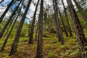 Resilovo-Kloster, Wasserfall & heiße Quellen: Tagesausflug ab Sofia