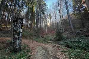 Grupo reducido: De Sofía a la Fortaleza de Kyustendil y el Parque de las Secuoyas