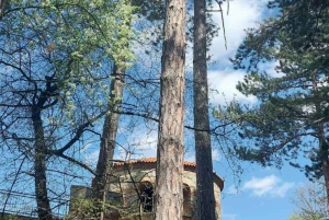 Grupo reducido: De Sofía a la Fortaleza de Kyustendil y el Parque de las Secuoyas