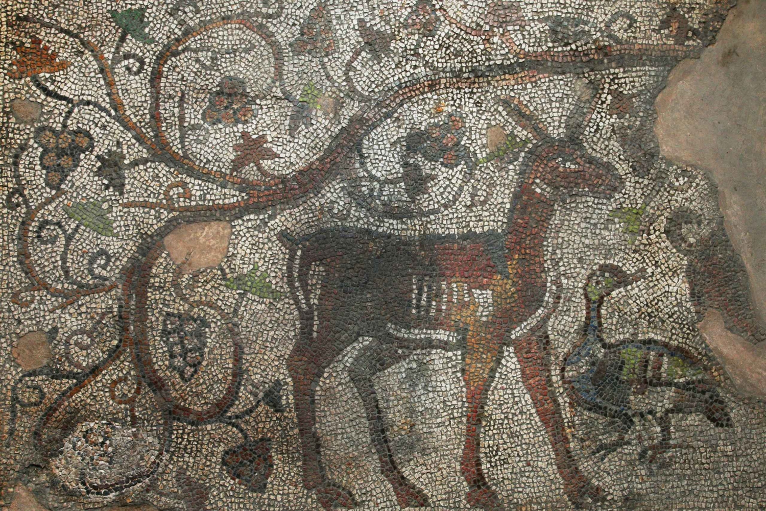 Plovdiv: Dagstur med guide til de thrakiske kongers dal