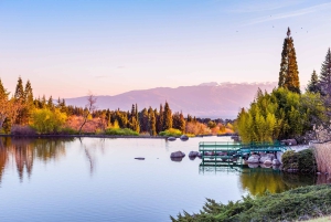 Сандански — бальнеотерапия, вино и духовный ретрит (9 дней)