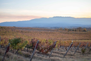 Сандански — бальнеотерапия, вино и духовный ретрит (9 дней)