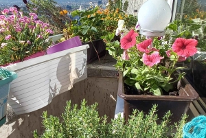 Sofía: cena de la época del comunismo de los años 80 con anfitrión local