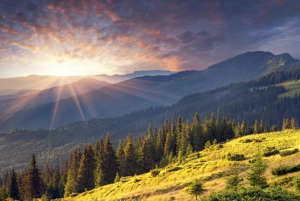 Sofia fra toppen og Alexander Nevski-katedralen