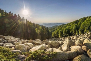 Sofia fra toppen og Alexander Nevski-katedralen