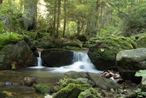 Sofia: Lovech, jaskinia Devetaki i wycieczka do wodospadów Krushuna