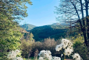 Sofia: päiväkierros Pernikiin, Krakran linnoitus ja kaivosmuseo