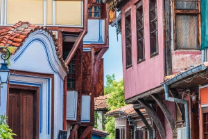 Spa & Culture Tour: Velingrad and Plovdiv Region (9 Days)
