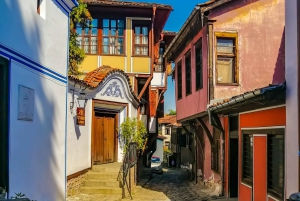 Spa & Culture Tour: Velingrad and Plovdiv Region (9 Days)