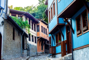 Spa & Culture Tour: Velingrad and Plovdiv Region (9 Days)