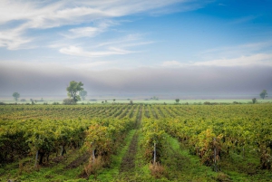 Spa & Culture Tour: Velingrad and Plovdiv Region (9 Days)