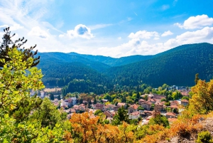 Spa & Culture Tour: Velingrad and Plovdiv Region (9 Days)