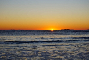 Sunny Beach: Katamarankryssning i solnedgången med middag och prosecco