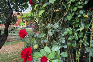 Sofía - Valle de las Rosas de Kazanluk y Excursión a la Destilería de Aceite