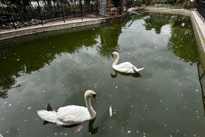 Sofía - Valle de las Rosas de Kazanluk y Excursión a la Destilería de Aceite