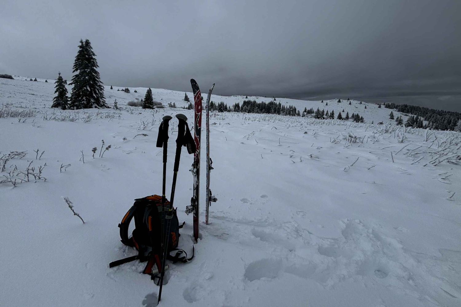 Vitosha : Journée de ski par l'école de ski Mountain Stars