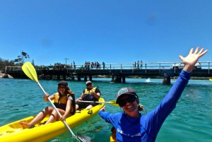 Byron Bay: Brunswick River Scenic Kayak Tour