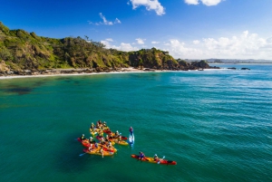 Byron Bay: The Byron Bay Sea Kayak Tour