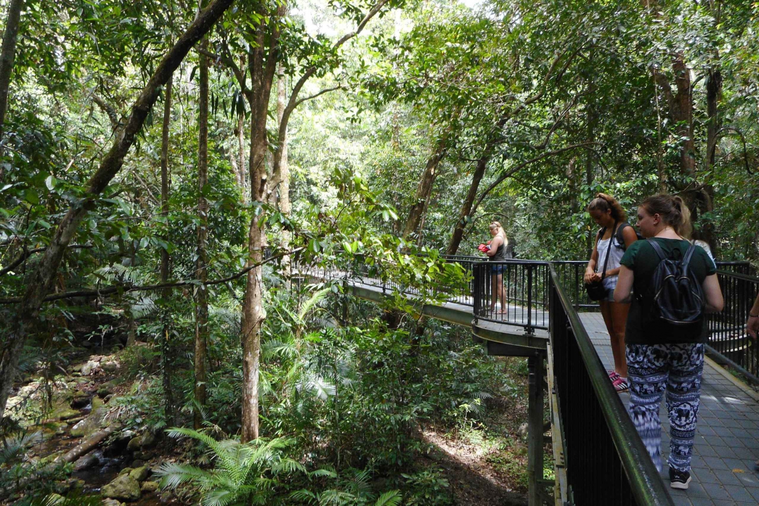 2-Day Waterfall and Daintree Tour