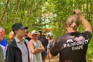 2-Day Atherton Tablelands, Mossman Gorge and Daintree Tour