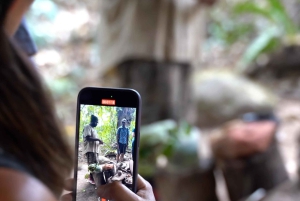 2-Day Atherton Tablelands, Mossman Gorge and Daintree Tour