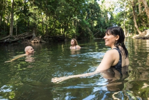 From Cairns: 3-Day Reef, Rainforest, and Outback Package