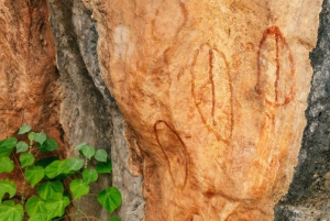 From Cairns: 3-Day Reef, Rainforest, and Outback Package