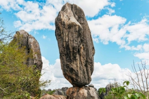 From Cairns: 3-Day Reef, Rainforest, and Outback Package