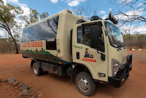 From Cairns: 3-Day Reef, Rainforest, and Outback Package