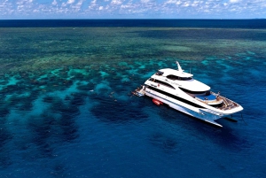 From Cairns: 3-Day Reef, Rainforest, and Outback Package