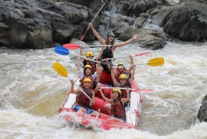 Barron Gorge: Half-Day Barron River White-Water Rafting