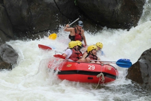 Barron Gorge: Half-Day Barron River White-Water Rafting