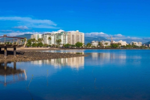 Best of Cairns: Private Walking Tour with a Local