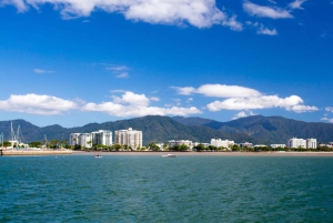 Best of Cairns: Private Walking Tour with a Local