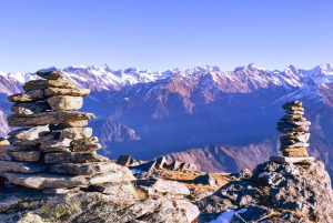 Best of Cairns: Private Walking Tour with a Local