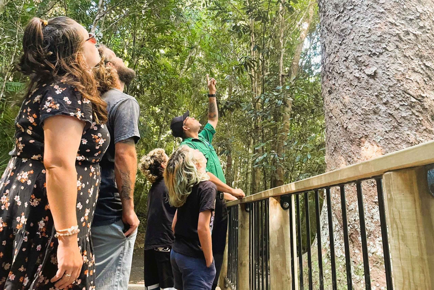 Cairns: tour de descubrimiento cultural aborigen
