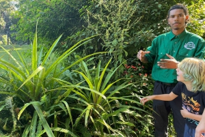 Cairns: Aboriginal Culturele Ontdekkingstocht