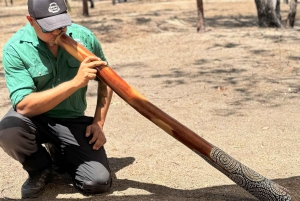 Cairns: Aboriginal Culturele Ontdekkingstocht