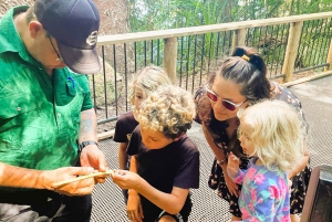 Cairns: Aboriginal Culturele Ontdekkingstocht