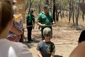 Cairns: Aboriginal Culturele Ontdekkingstocht