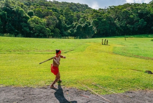 Cairns: Il meglio della foresta pluviale di Kuranda Tour di un giorno e pranzo