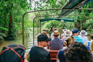 Cairns: Il meglio della foresta pluviale di Kuranda Tour di un giorno e pranzo