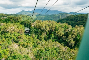 Cairns: Il meglio della foresta pluviale di Kuranda Tour di un giorno e pranzo