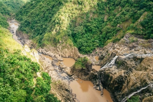 Cairns: Il meglio della foresta pluviale di Kuranda Tour di un giorno e pranzo