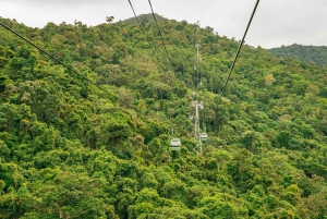Cairns: Il meglio della foresta pluviale di Kuranda Tour di un giorno e pranzo
