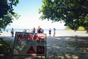 Cairns: Cape Tribulation & Daintree Rainforest Premium Tour