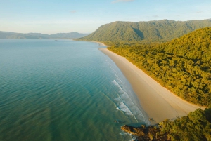 Cairns: Cape Tribulation & Daintree Rainforest Premium Tour