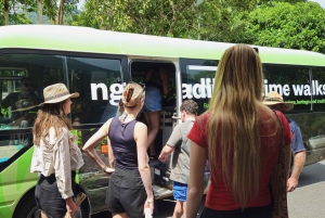 Cairns: Cape Tribulation, Mossman Gorge & Daintree Day Tour